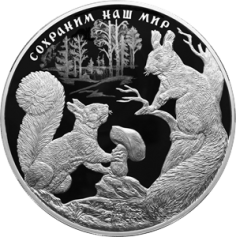 Серебряная монета 100 рублей "Белка обыкновенная" 2023г., 1000г., Ag 925, Пруф-Лайк